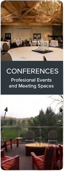 Conferences - Professional Events & Meeting Spaces